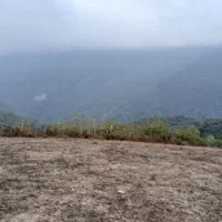 زمین، روستای پاجی|فروش زمین و ملک کلنگی|فریم, |دیوار