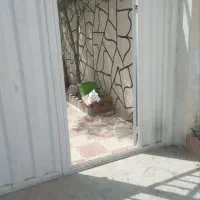 سوله ۳۰۰ متری جهت اجاره|اجارهٔ دفتر صنعتی، کشاورزی، تجاری|قرچک, قشلاق جیتو|دیوار