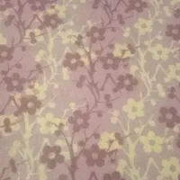 گاوصندوق کوچک پالازموکت|کافیشاپ و رستوران|فردیس, فرامرزیه|دیوار