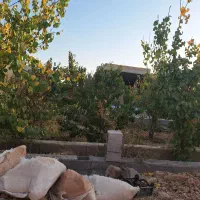 فروش باغ  550 متری