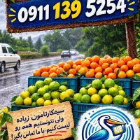 0911-139-5254 0911-234-2592