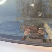 پراید مدل 84|خودرو سواری و وانت|مشهد, گوهرشاد|دیوار