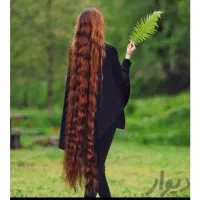 خریدار موی طبیعی بانوان 50سانت به بالا