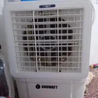 کولرابی سلولوزی برووایت 28 درحدنو