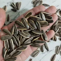 تخمه آجیلی ممتاز آفتابگردان S400