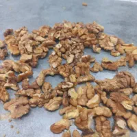 گردو با پوست امسالی تویسرکان