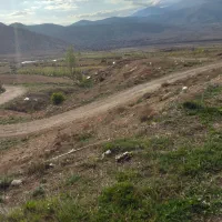 ملک در زمین باغی|فروش دفتر صنعتی، کشاورزی، تجاری|کیاسر, |دیوار