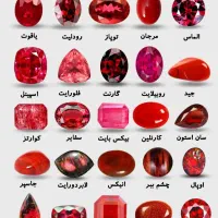همکار خانم وآقاجهت امور دفتری