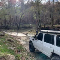 پاترول ۴در ۶سیلندر