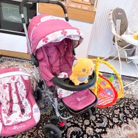 کالسکه کریر صندلی غذا دلیجان