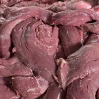 گوشت ماده گاو (عمده )