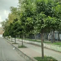فروش تک واحدی با مغازه تجاری مسکونی براصلی فهمیده