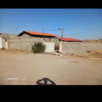 فروش-یااجاره-گاوداری-50راسی-پروار-همراه-باباغ-میوه