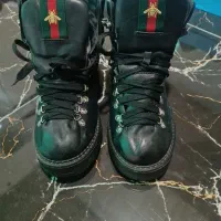 کفش|کیف، کفش، کمربند|مشگین شهر, |دیوار