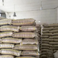 نخود بذری|عمدهفروشی|روانسر, |دیوار