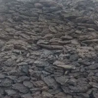 فروش کود گوسفندی پوسیده