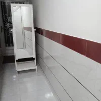 آینه ایستاده