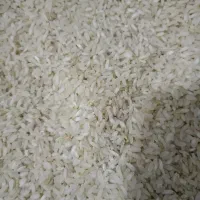 برنج کامفیروزی اعلا|خوردنی و آشامیدنی|شیراز, کیان شهر|دیوار