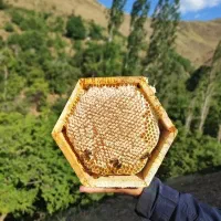 عسل کاملاًطبیعی ارگانیک برای دیابتی ها قلب و گوارش