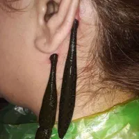 حجامت/بادکش/زالو/ناف گیر/ماسـاژدرمنــزل شـما|خدمات آرایشگری و زیبایی|کرمانشاه, |دیوار