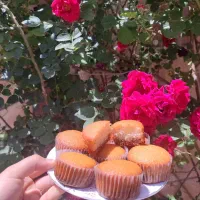 کیک خونگی|خوردنی و آشامیدنی|مشهد, طلاب|دیوار