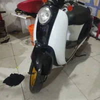 پاکشتی اسکوپی درحد