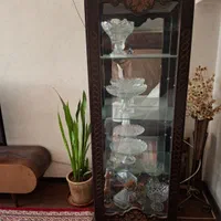 ویترین دو میلیون  سالم به دلیل  نداشتن جا