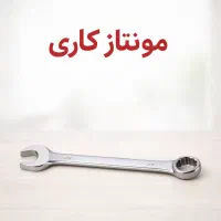 نیرو ساده آقا و خانم