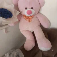 خرس نانسی خوشگل