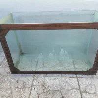 آکواریوم|ماهی|یزد, |دیوار