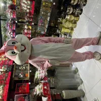 کرایه لباس نمایشی|گردهمایی و همایش|برازجان, |دیوار