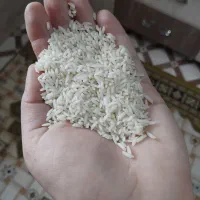 برنج هاشمی درجه یک خواهشن آگهی رو خوب بخوانید