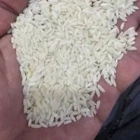 برنج تایلندی