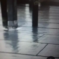 نصب وفروش ایزوگام