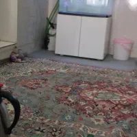 ماهی گلد فیش