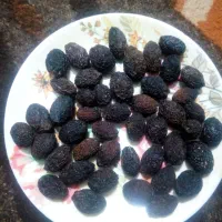 فروش زیتون خشک