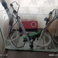 اکواریوم معاوضه با عرو س