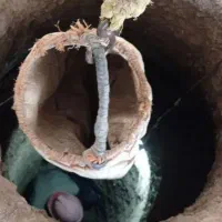 چاه کنی