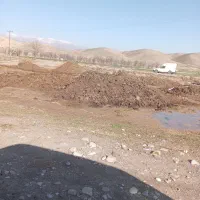 کود گاوی وکود گوسفندی