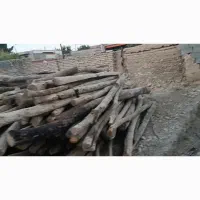 چوب سقفی|مصالح و تجهیزات ساختمان|قوچان, |دیوار