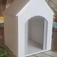 لانه گربه و سگ