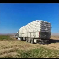 خریدارم کاه داز درو هستم