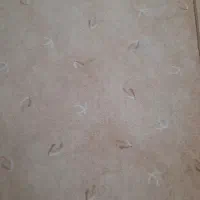 ۹ متر پالاز موکت