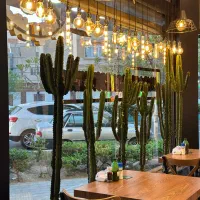 پیتزا زن ایتالیایی اشپز ایتالیایی