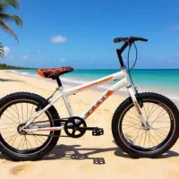 دوچرخه پاریس تکی و عمده|دوچرخه، اسکیت، اسکوتر|مشهد, امام رضا (ع)|دیوار