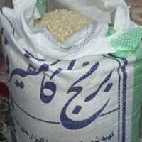 برنج کامفیروزی اصل|خوردنی و آشامیدنی|ارسنجان, |دیوار