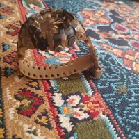 ساعت مچی دیزاینر اورجینال|ساعت|شیراز, میانرود|دیوار
