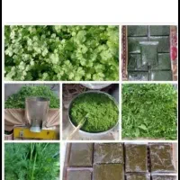 سبزی خورشتی آماده