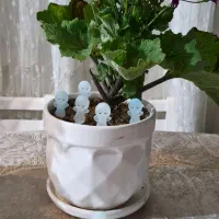 جا سوییچی شب تاب|کلکسیون و سرگرمی|تهران, ائمه اطهار|دیوار