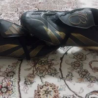 استوک پردیتور جودبیلینگام